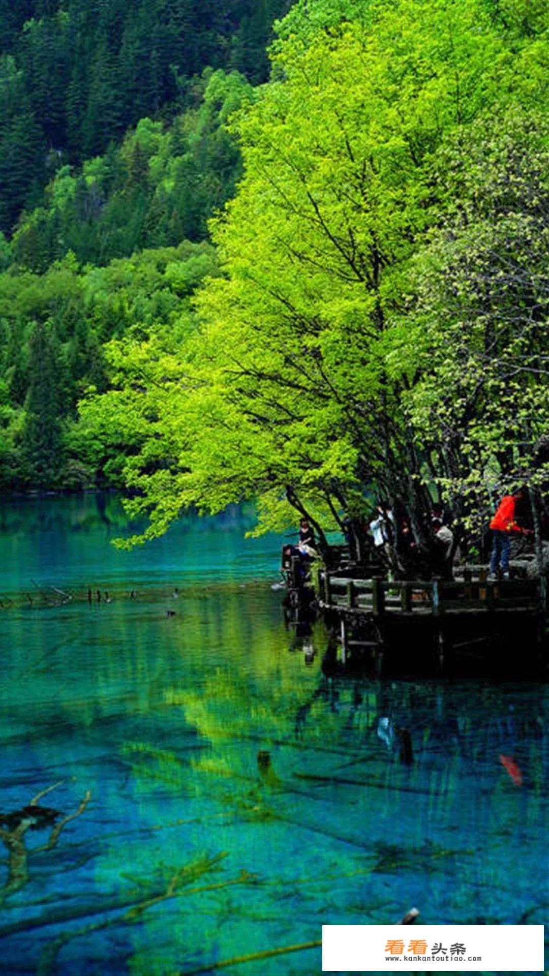 中国十大优秀旅游城市有哪些？这些城市有哪些共同特点？