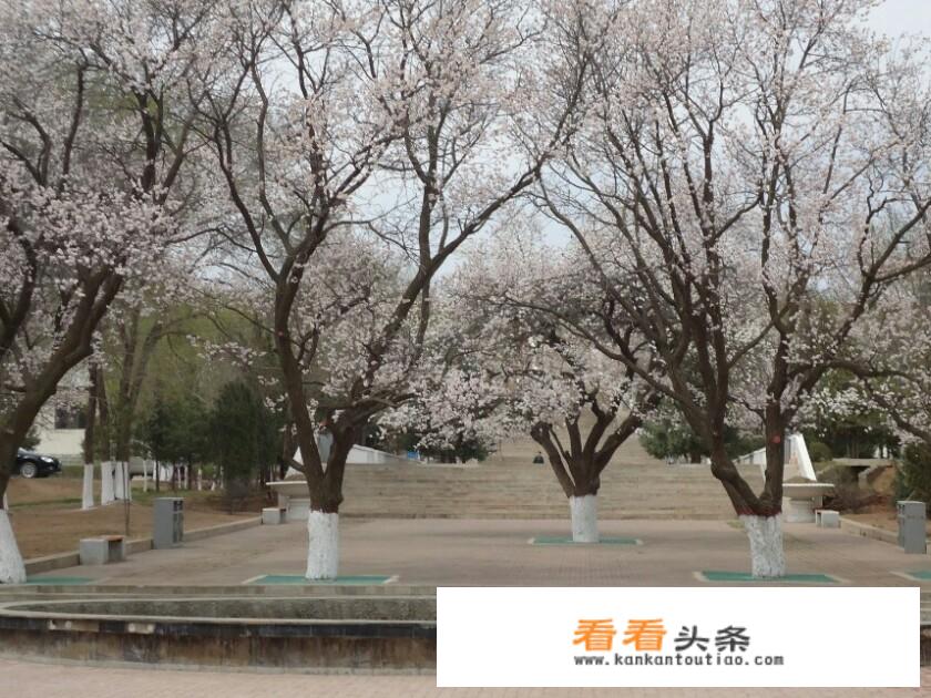 离呼市近的旅游城市？