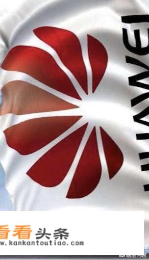华为和大疆从技术品行上相比，谁才能代表中国呢？你怎么看？