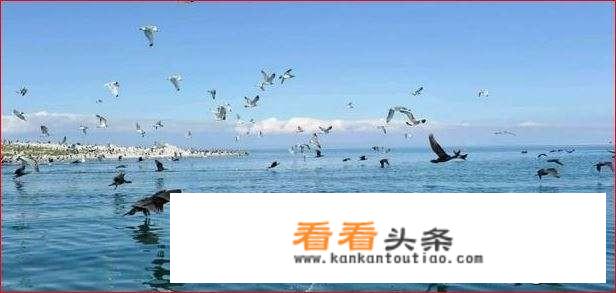 青海国庆旅游景点推荐？