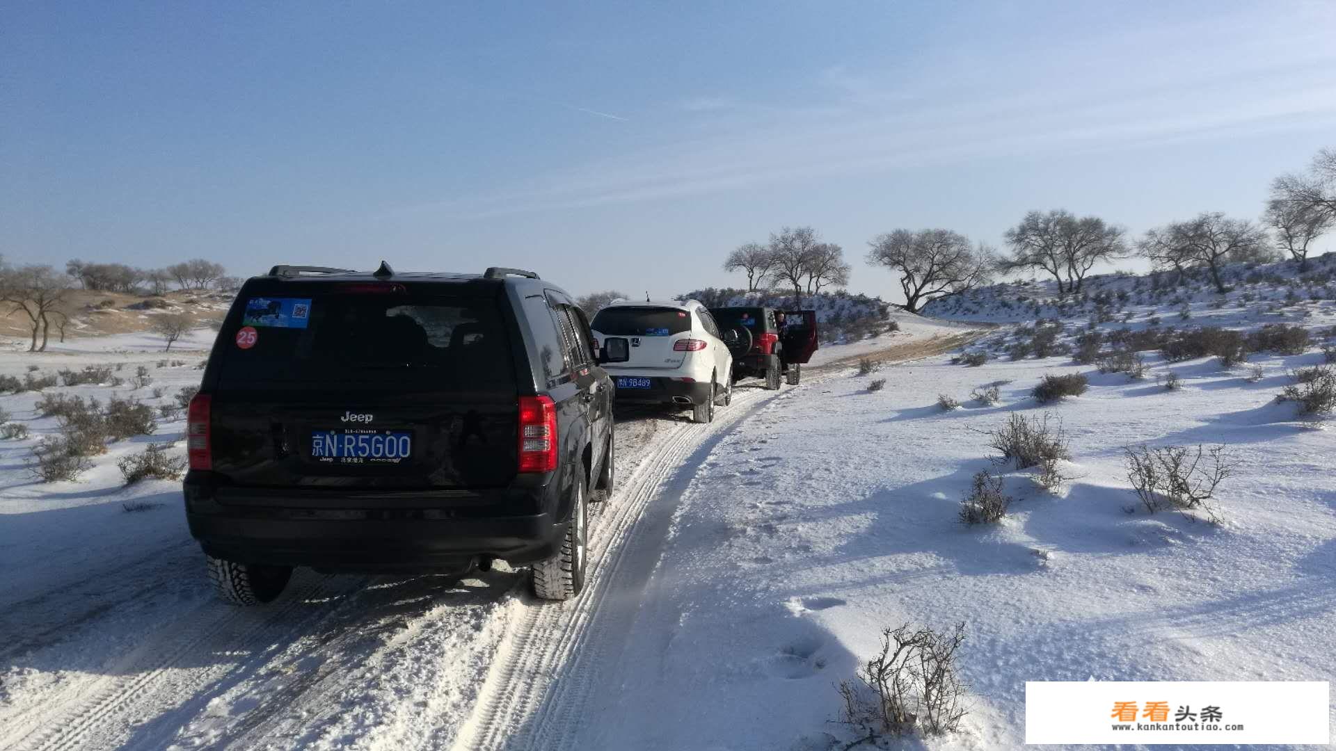 去草原旅游必须要做越野车吗？为什么？