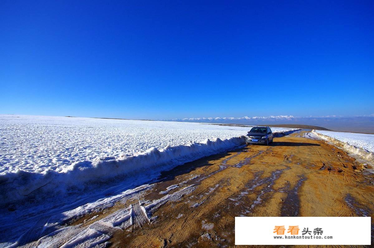 我7月份想带家人去青海周边旅行，是跟团去呢，还是当地租车呢？