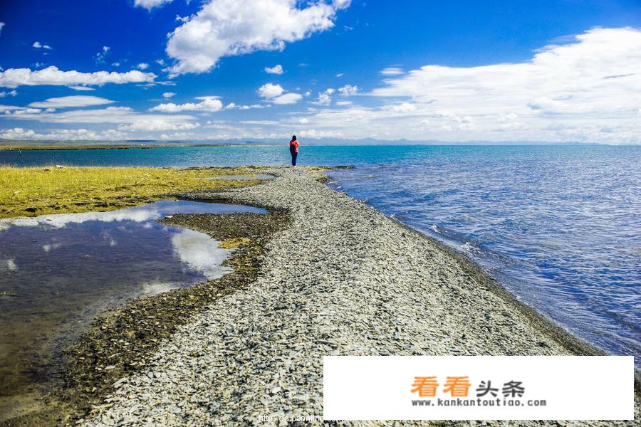 我7月份想带家人去青海周边旅行，是跟团去呢，还是当地租车呢？