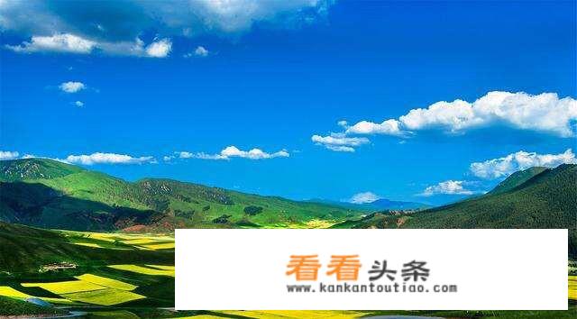 我7月份想带家人去青海周边旅行，是跟团去呢，还是当地租车呢？
