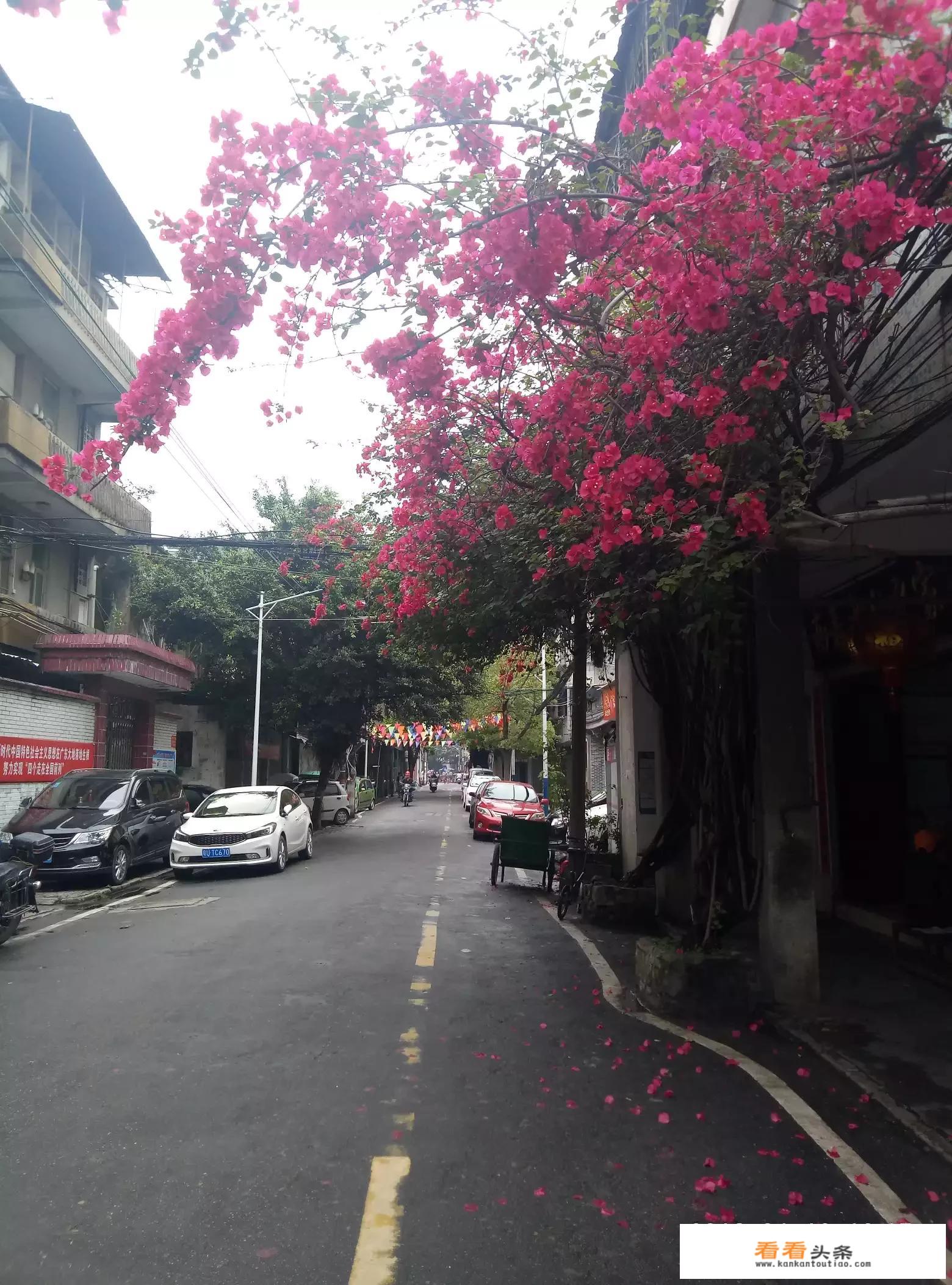 广州天河区必去的旅游景点有哪些？