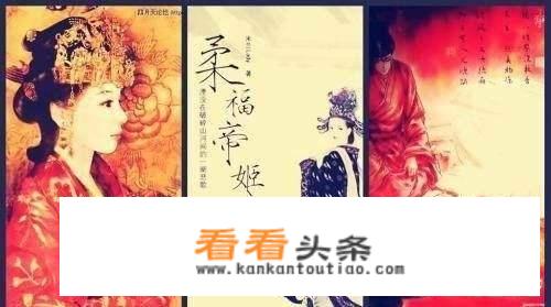 柔福帝姬里面讲什么？