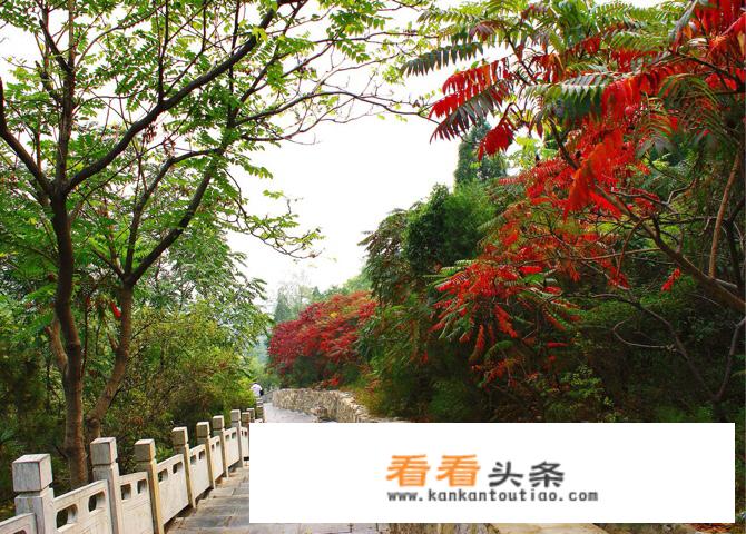春天的石家庄有哪些地方可以旅游？