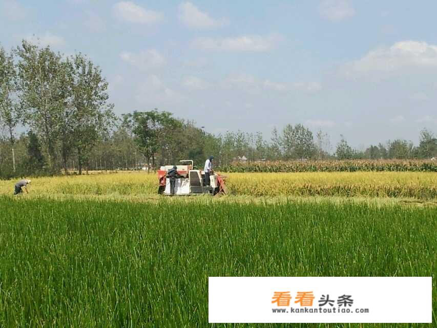 红色旅游品牌形象构建过程？