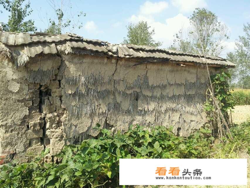 红色旅游品牌形象构建过程？
