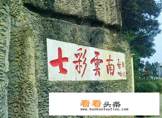 去云南旅游你是愿意跟团呢，还是自驾？