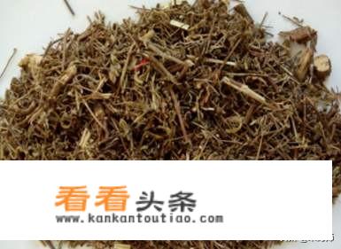 香茹是什么中药有何用途？