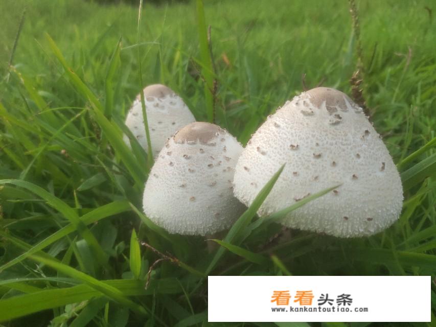 旅 *** 业软文怎么写？需要注意哪几点？