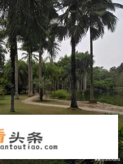 云南秋天最值得去的几个景点？