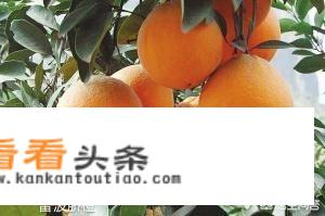 四川凉山彝族特产？