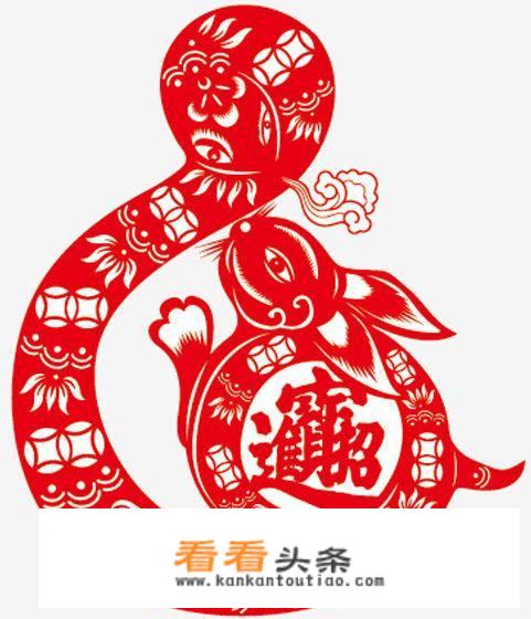 兔子和蛇有什么相同点和不同点？