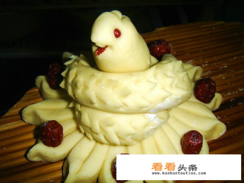 兔子和蛇有什么相同点和不同点？