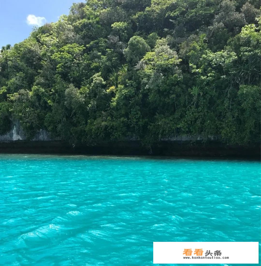 听说去帕劳旅行不能涂抹防晒霜，有哪些事是你去了帕劳才知道的？