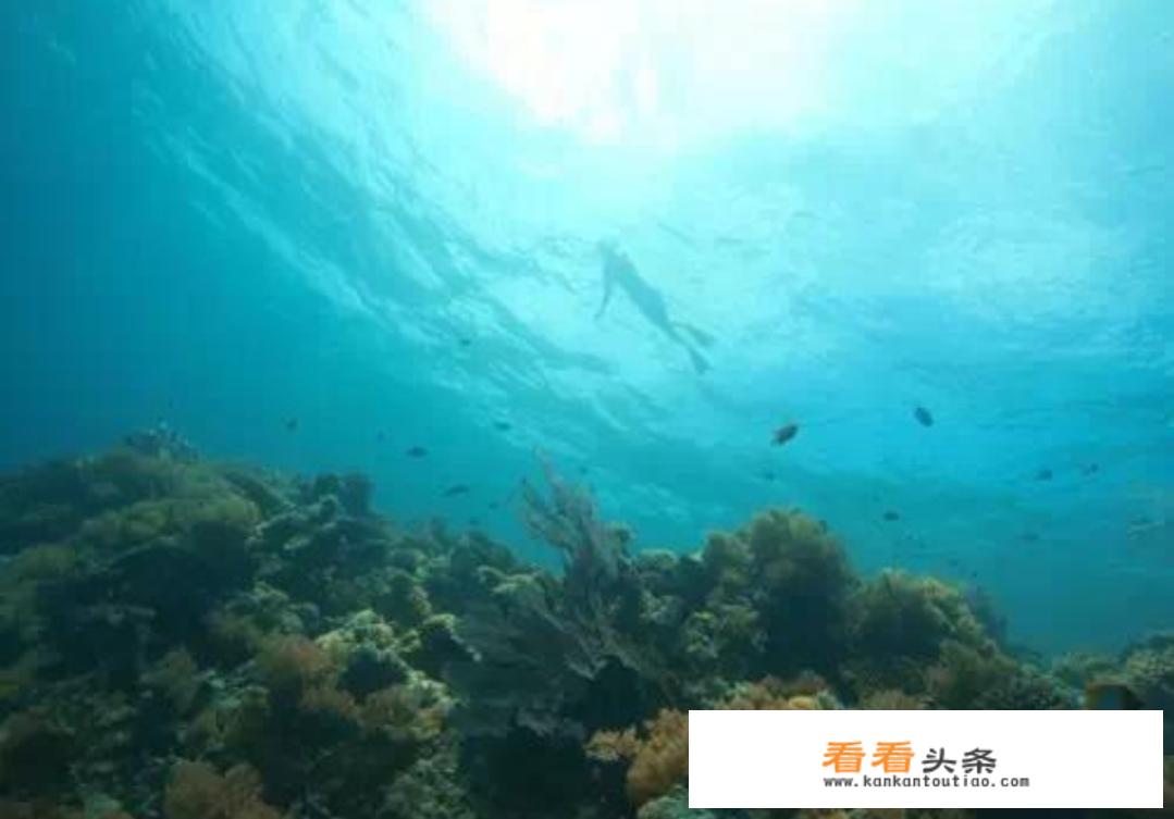 听说去帕劳旅行不能涂抹防晒霜，有哪些事是你去了帕劳才知道的？