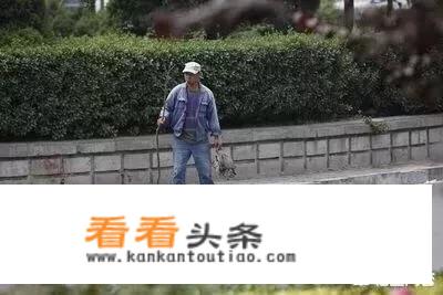 野生甲鱼市场价是多少？