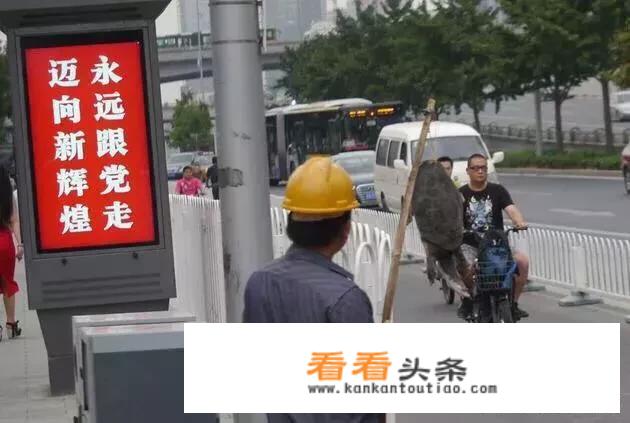 野生甲鱼市场价是多少？