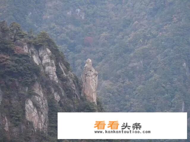 为什么有些人认为旅游业该提高旅游服务质量了？又该如何提高呢？