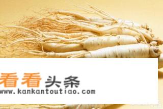 人参的功效和作用是什么？
