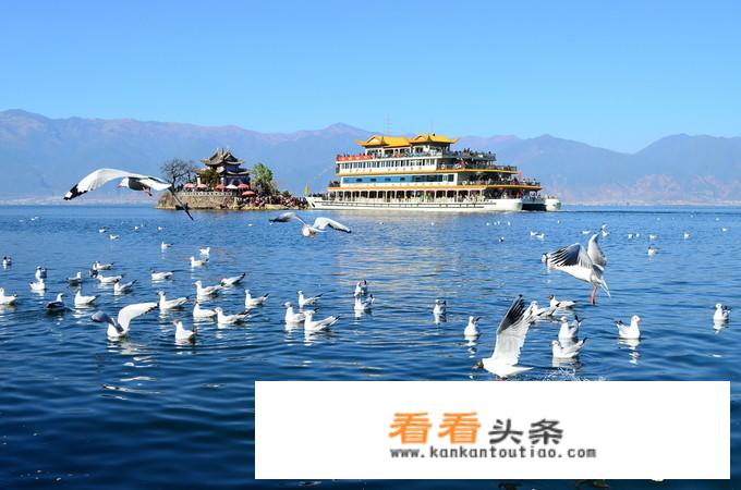 五一假期，你会到云南哪些景点旅游