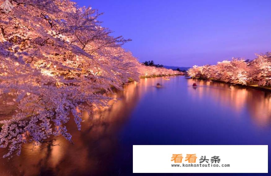 2018年日本赏樱花更佳地点
