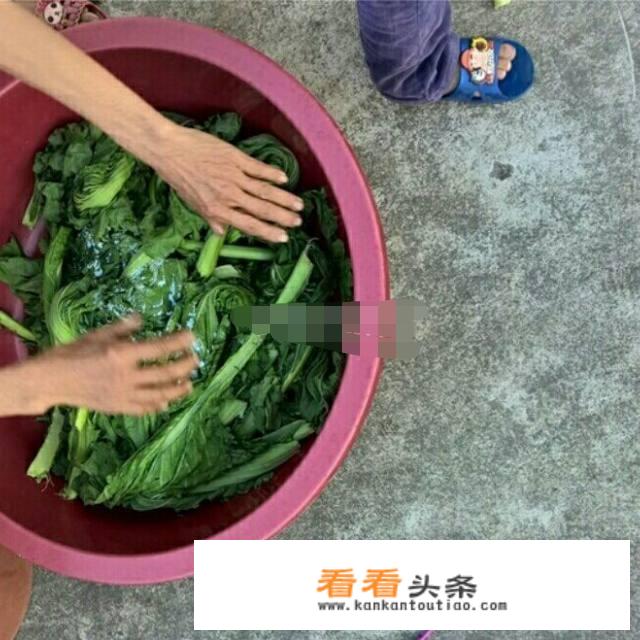 梅干菜 ***  *** 