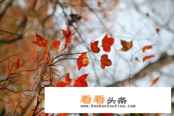 广东短途自驾游景点推荐，出游攻略