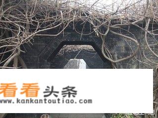 北京自驾去淄博三日游，有什么好的建议