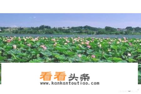 泰安旅游景点大全