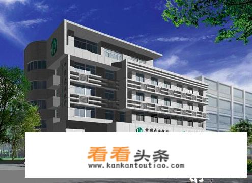 华为mate50下载农业银行怎么不让登陆