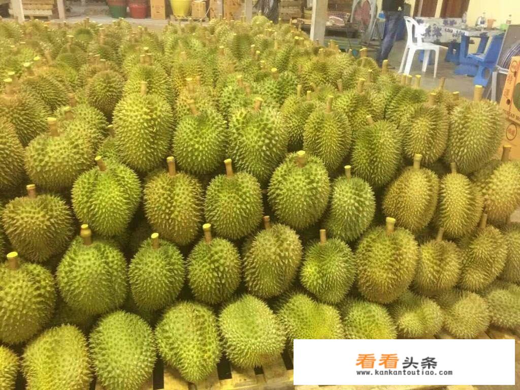 榴莲那么难闻，口感也一般！但为什么那么贵？难道营养价值连城