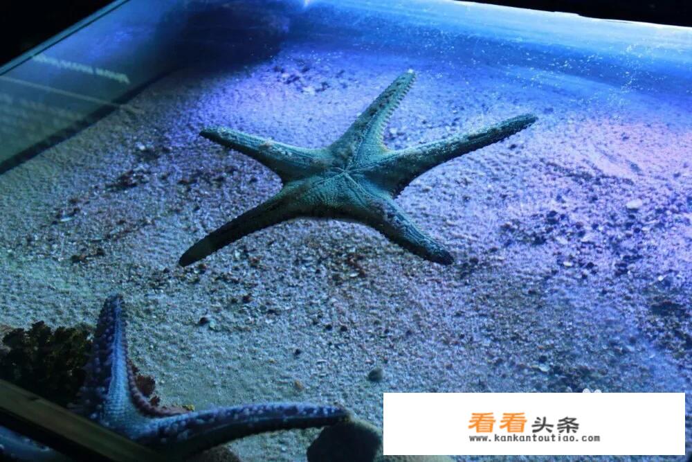 去辽宁抚顺旅行，有什么好建议