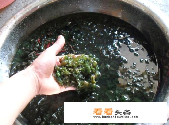 地耳菜如何快速清洗