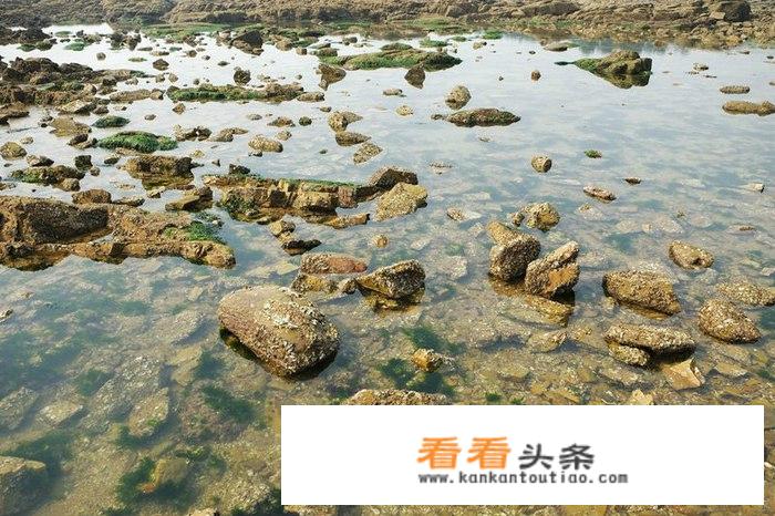 有谁知道日照的海滩哪个更好玩