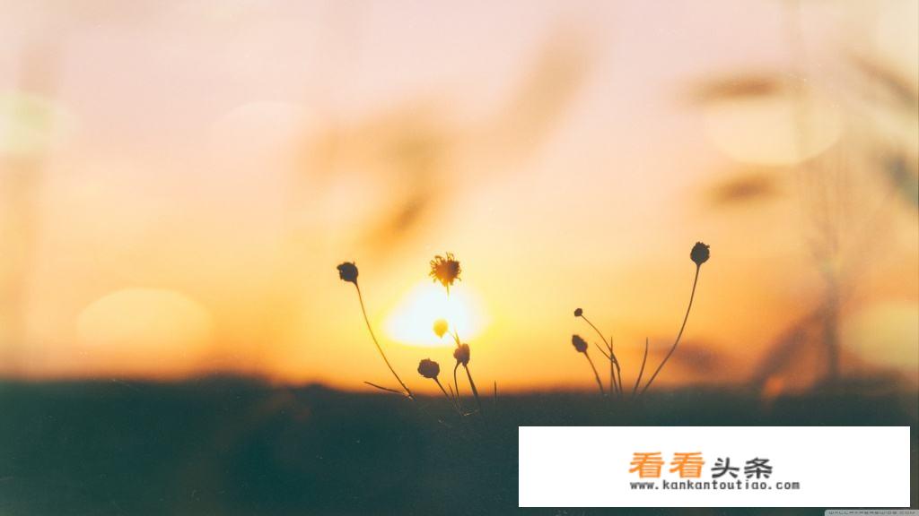 游戏美术设计师需要考什么证