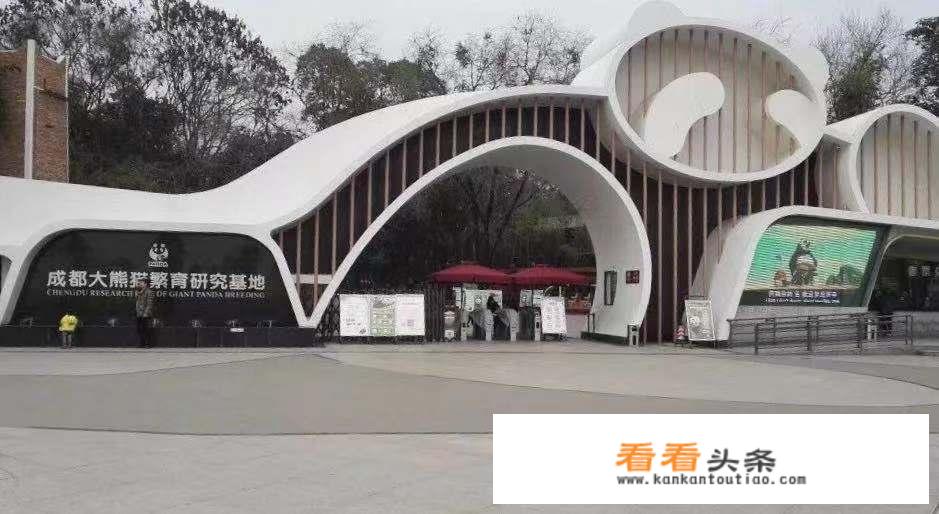 成都大熊猫基地，有什么推荐的游玩攻略