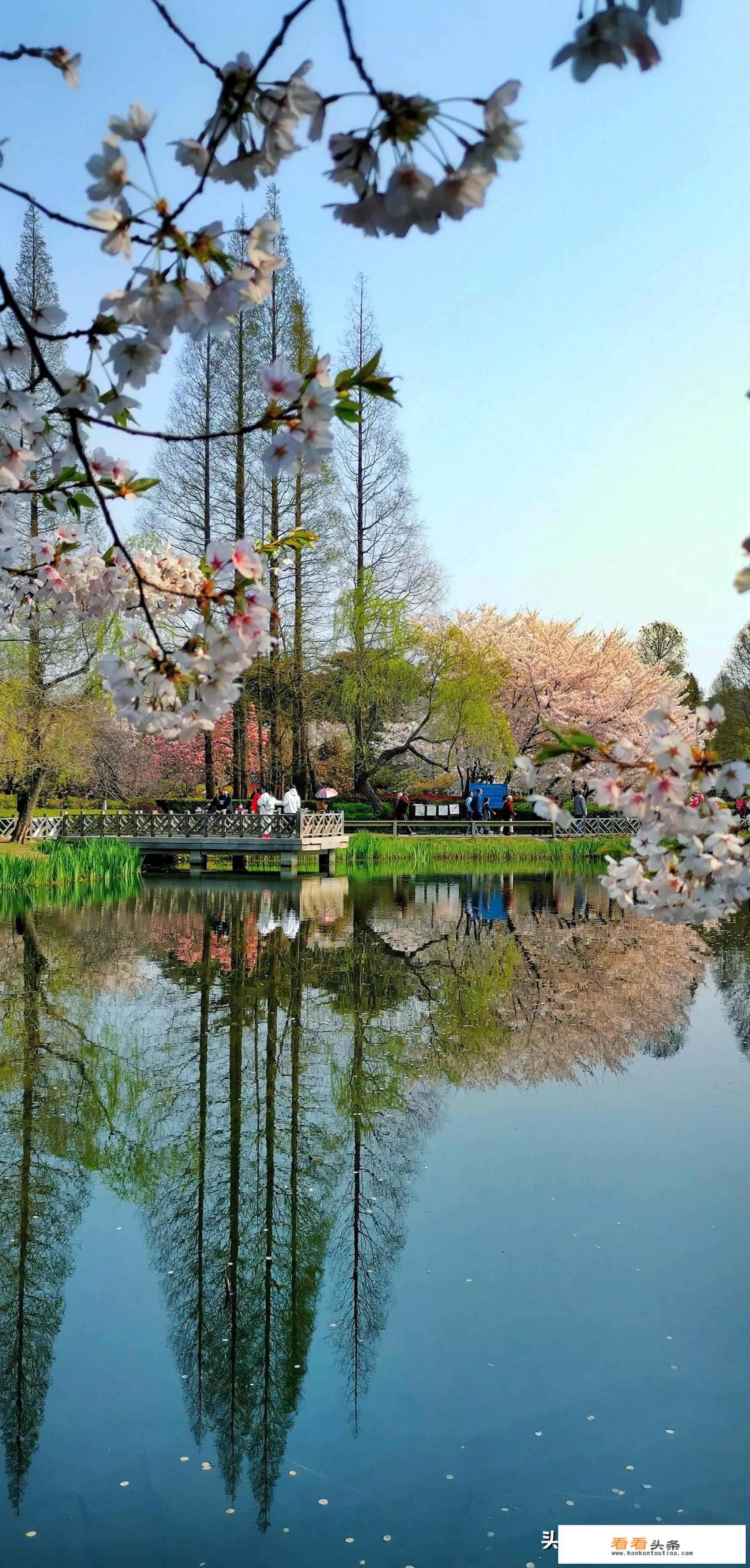 国内最值得旅游的十大城市和十大景点都是哪些