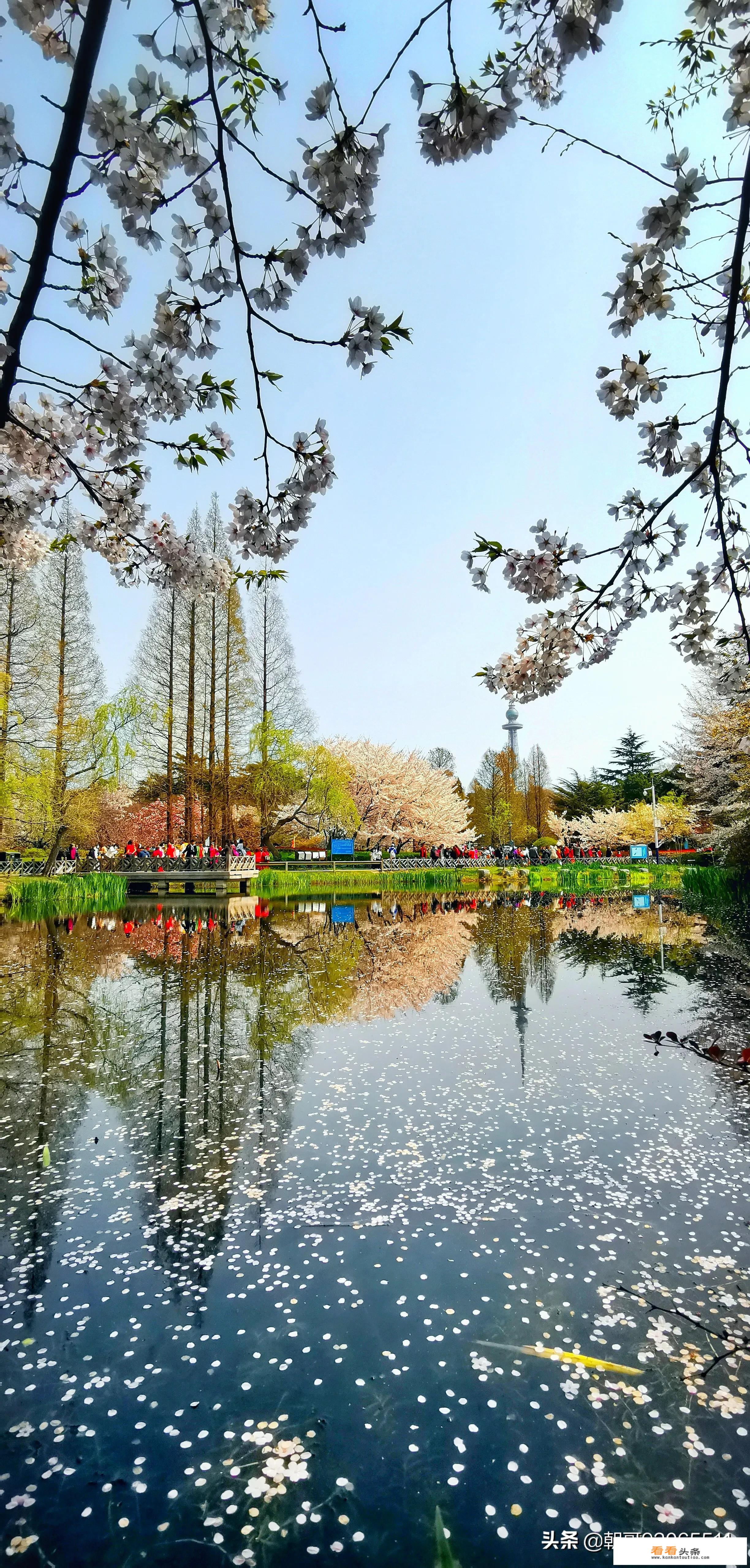 国内最值得旅游的十大城市和十大景点都是哪些