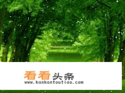 动态壁纸哪个软件好用