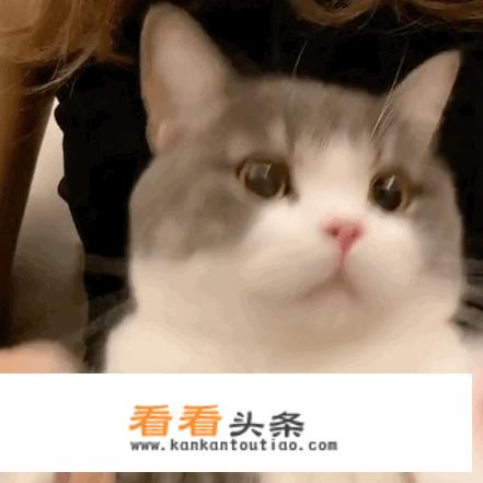 做什么代练赚钱