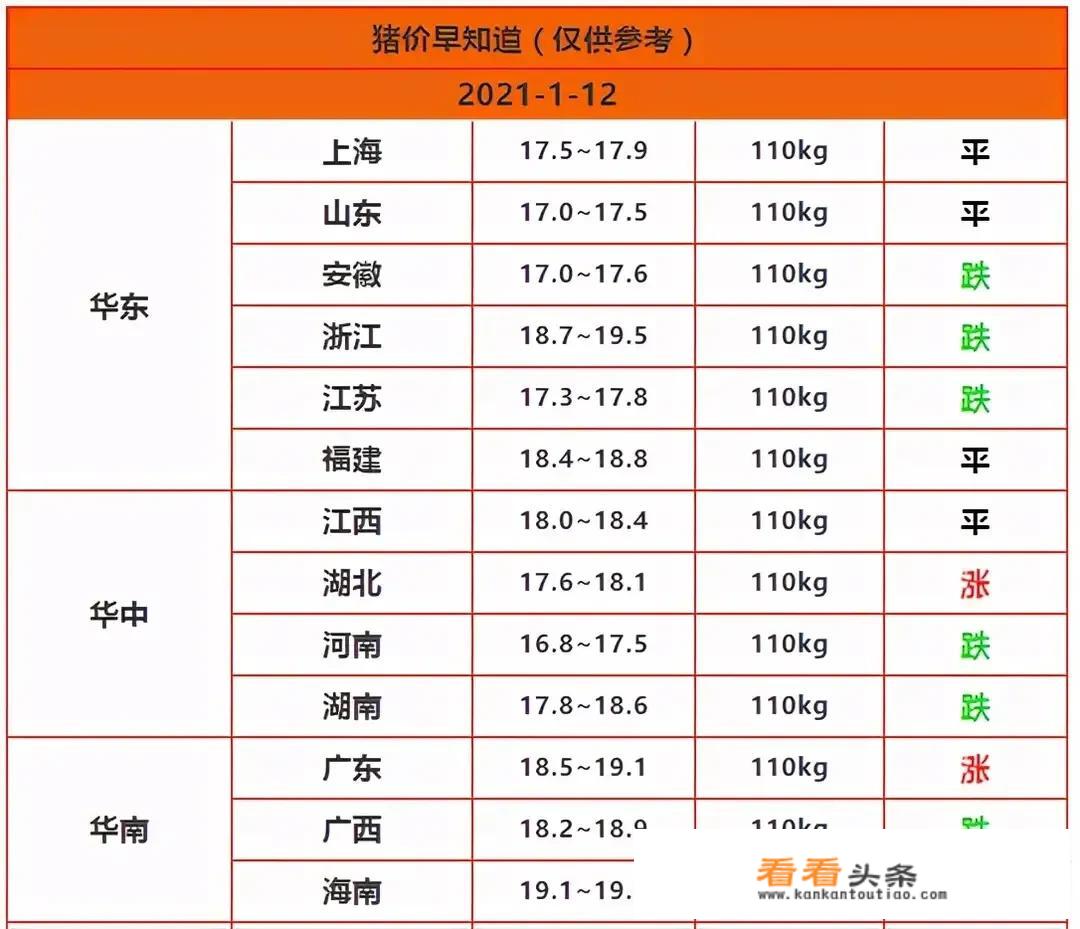 1月11日，今日猪价5连跌之后，猪价行情该如何发展