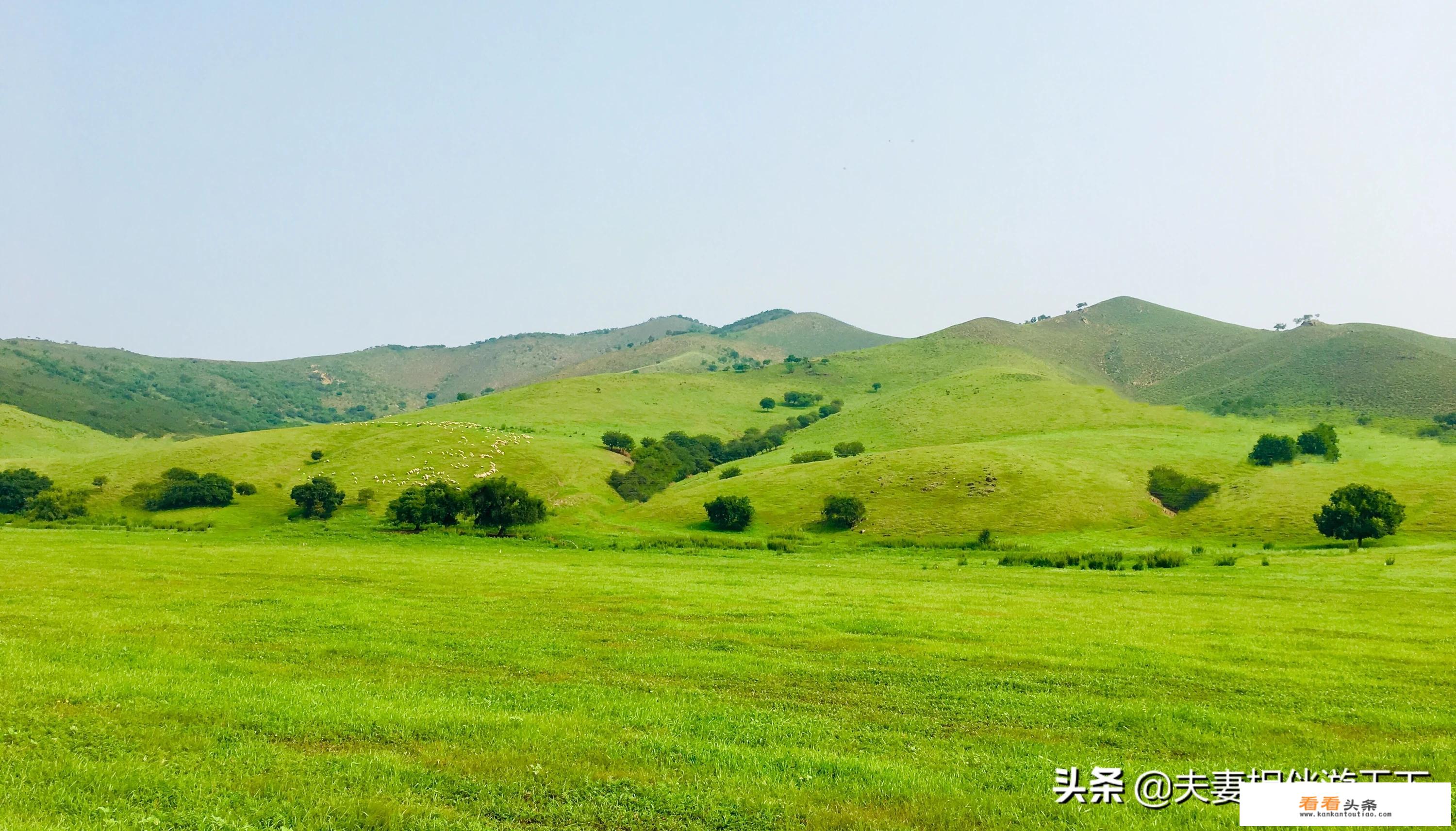 旅游自媒体从零开始学