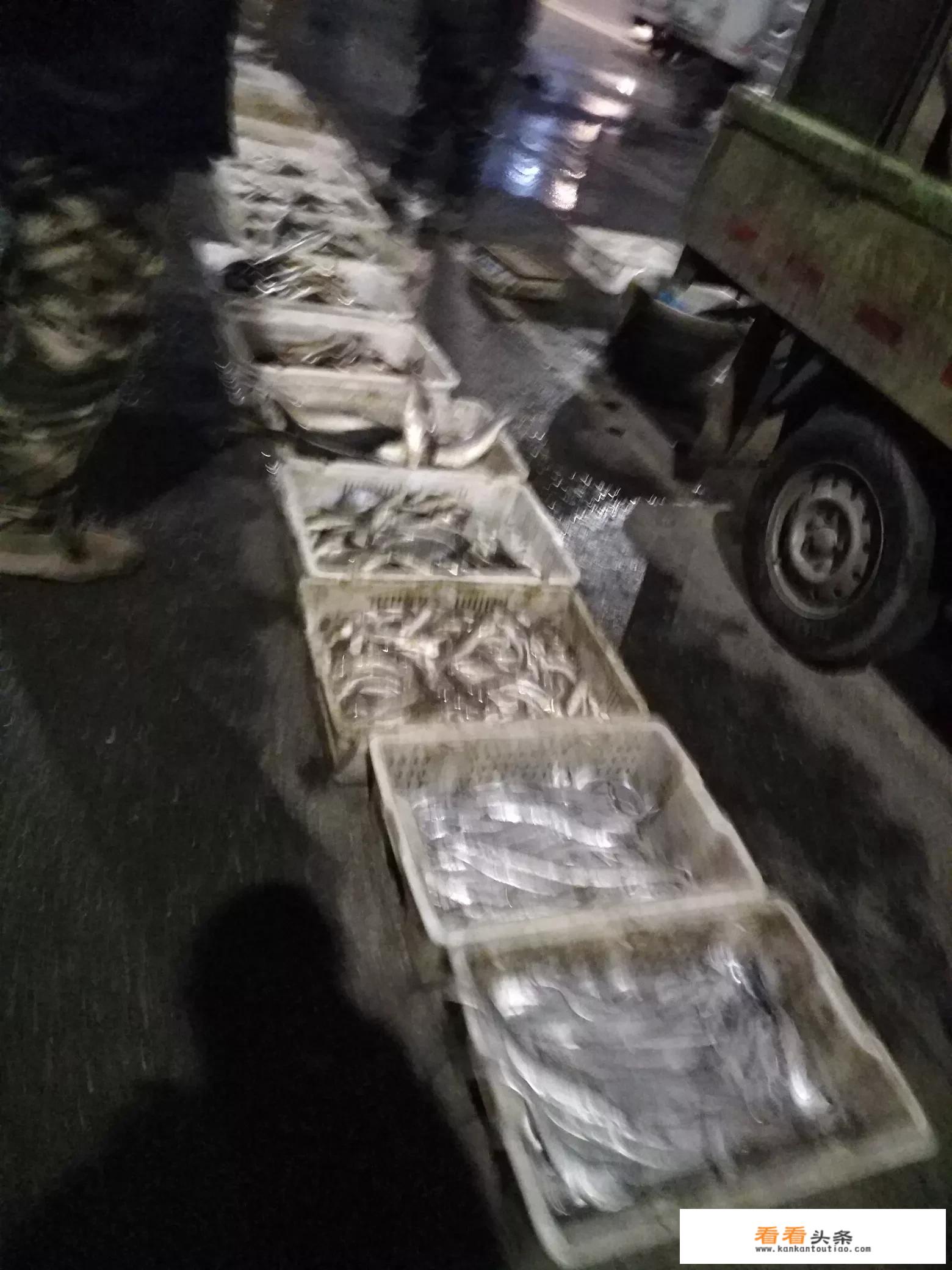 海参为什么要三发三煮