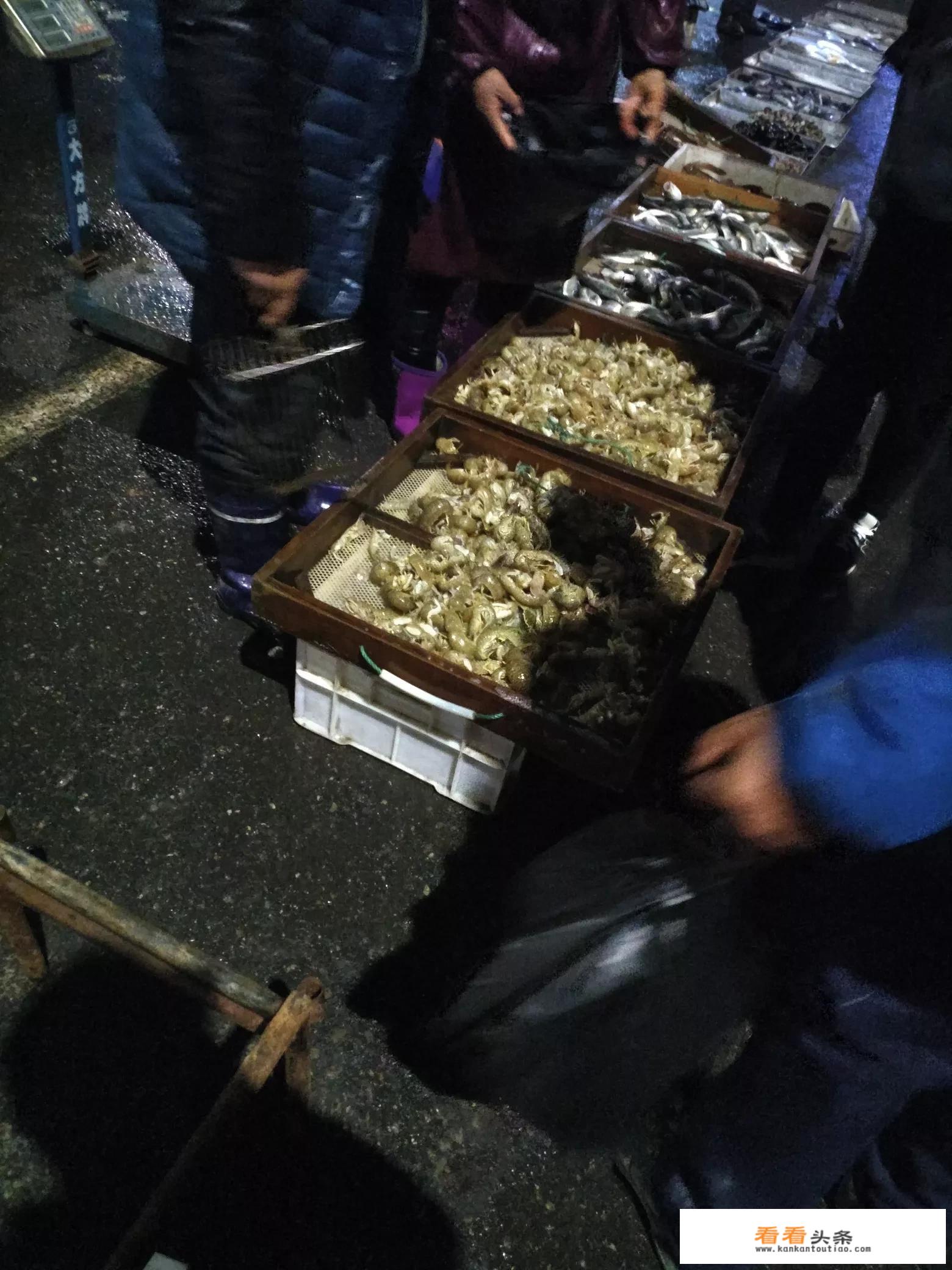 海参为什么要三发三煮