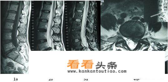 4+5+1党建工作是什么