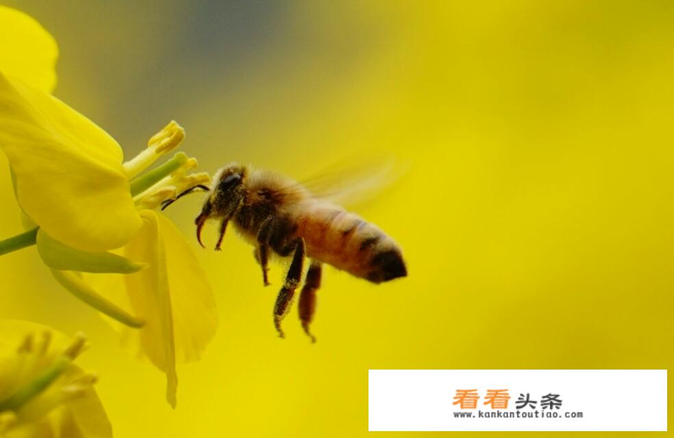 出门旅游拍照用手机还是相机？为什么