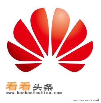 任正非当年为什么要卖华为